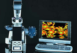 Leica DMI4000B Microscope