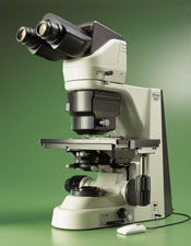 Nikon E55i Microscope