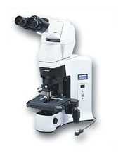 Olympus BX45/45A Microscope