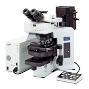 Olympus BX61 Microscope