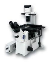 Olympus IX51 Microscope