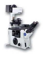 Olympus CX81 Microscope