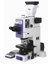 Nikon E100 Microscope